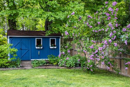 Shed Repair